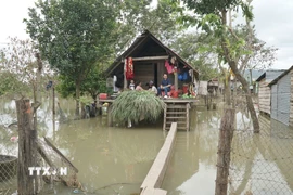 Buôn Nu, xã Uar (tỉnh Gia Lai) vẫn ngập sâu trong nước sau bão số 13. (Ảnh: Hoài Nam/TTXVN)