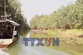 Trải nghiệm Tràm Chim - Chạm vào nhịp sống vùng đất ngập nước 
