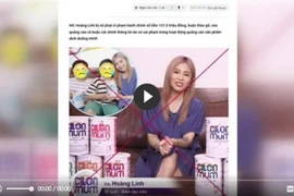 Nghị định số 342/2025/NĐ-CP do Chính phủ ban hành có quy định chi tiết một số điều của Luật Quảng cáo. Nghị định này có hiệu lực thi hành kể từ ngày 15/2/2026. (Ảnh minh họa: Vietnam+)