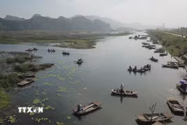 Khu Bảo tồn thiên nhiên đất ngập nước Vân Long. (Ảnh: Thùy Dung/TTXVN)