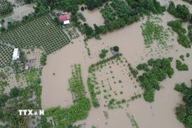 Nhiều nhà cửa, hoa màu của người dân phường Hàm Thắng (Lâm Đồng) bị ngập sâu trong nước lũ. (Ảnh: Nguyễn Thanh/TTXVN)