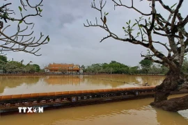 Ngập lụt trong Đại Nội Huế, thành phố Huế sáng 30/10. (Ảnh: Nguyên Lý/TTXVN)