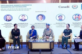 Các đại biểu thảo luận tại diễn đàn. (Ảnh: Tuấn Anh/TTXVN)