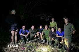 Lực lượng tìm kiếm tiếp cận, sơ cứu cho du khách bị thương khi đi lạc trong rừng đặc dụng. (Ảnh: TTXVN phát)