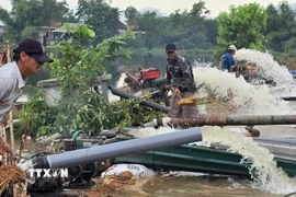 Hợp tác xã nông nghiệp Phú Hồ, xã Phú Hồ, huyện Phú Vang huy động nhân lực, máy bơm tiêu úng cứu lúa cho nông dân. (Ảnh: Tường Vi/ TTXVN)