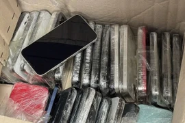 Tang vật bị lực lượng Hải quan phát hiện, thu giữ. (Nguồn: Cục Hải quan)