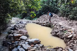 Khe Huổi Lúc bị nắn dòng bởi những hố sâu do khai thác vàng. (Ảnh: Văn Tý/TTXVN)