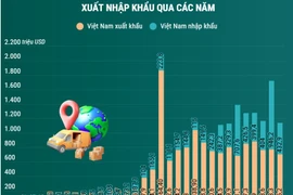 Quan hệ thương mại song phương Việt Nam-Nam Phi