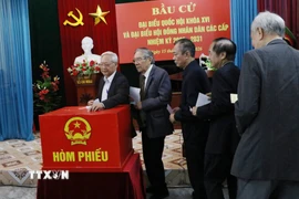 Ngay từ sáng sớm, các cử tri phường Hoa Lư, tỉnh Ninh Bình đến bỏ phiếu tại Khu vực bỏ phiếu số 27. (Ảnh: Hải Yến/TTXVN)