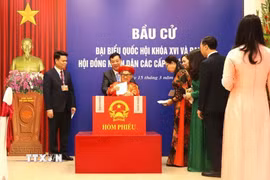 Cử tri Nguyễn Thị Khẩn, 96 tuổi là cử tri lớn tuổi nhất khu vực bỏ phiếu số 8, phường Hải An, thành phố Hải Phòng tham gia bỏ phiếu. (Ảnh: Hoàng Ngọc/TTXVN)
