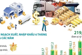 Tổng kim ngạch xuất, nhập khẩu hàng hóa 6 tháng năm 2025 tăng 16,1%