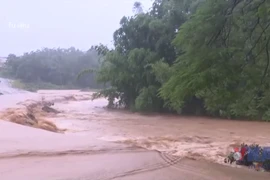 Bão số 12 cách Đà Nẵng 310km, giật cấp 12, cảnh báo sóng cao 7m