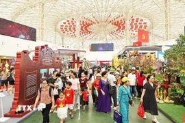 Đông đảo du khách tham quan triển lãm. (Ảnh: Minh Đức/TTXVN)