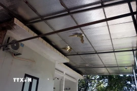 Hộ gia đình bà Lê Thị Ly bị đất đá làm sập tường rào phía sau nhà, mái ngói, mái tôn bị đá rơi vỡ làm thủng nhiều chỗ. (Ảnh: Đại Nghĩa/ TTXVN)
