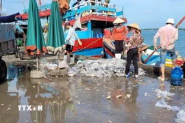Nhếch nhác tại cảng cá Tân Phước, xã Long Hải, Thành phố Hồ Chí Minh. (Ảnh: Hoàng Nhị/TTXVN)