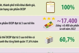 Chương trình OCOP: Động lực phát triển kinh tế nông thôn 