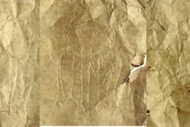 Bộ sưu tập Vàng lá chạm khắc hình voi. (Nguồn: Bảo tàng Lịch sử Quốc gia)