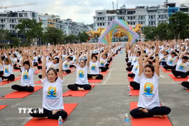 Các Yogi tham gia đồng diễn tại Ngày Quốc tế Yoga tổ chức tại Quảng Ninh. (Ảnh: Đức Hiếu/TTXVN)