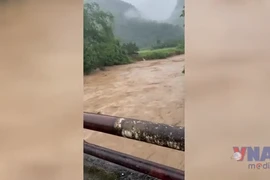 Mưa lớn kèm dông lốc gây thiệt hại nặng nề tại Lào Cai 