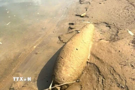 Quả bom còn sót lại sau chiến tranh được người dân phát hiện tại khu vực mép bờ sông Lô, xã Hàm Yên, tỉnh Tuyên Quang. (Ảnh: Đăng Ninh/TTXVN phát)