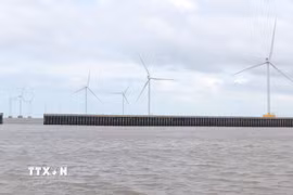 Nhà máy điện gió khu vực biển Đông ở tỉnh Cà Mau. (Ảnh: Tuấn Phi/TTXVN)
