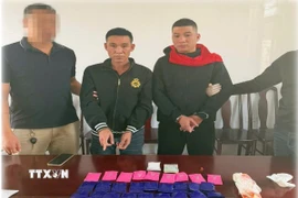 Các đối tượng Trần Mạnh Cường và Nguyễn Văn Kiều cùng tang vật thu giữ. (Ảnh TTXVN phát)