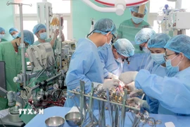 Êkíp bệnh viện Trung ương Huế hiện ghép tim cho bệnh nhân. (Ảnh: TTXVN phát)