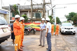 Công ty Điện lực Đắk Nông khảo sát hiện trạng lưới điện để thực hiện thay thế công tơ. (Ảnh: Tâm An/TTXVN)