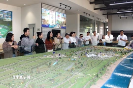 Lâm Đồng kỳ vọng tăng cường liên kết với các thị trường khách du lịch trọng điểm như Thành phố Hồ Chí Minh, Đồng Nai và các tỉnh khu vực Đông Nam Bộ qua chuyến khảo sát. (Ảnh: Hồng Hiếu/TTXVN)