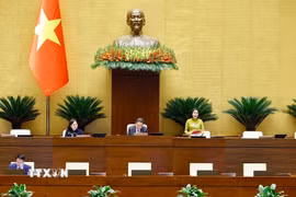 Phó Chủ tịch Quốc hội Nguyễn Thị Thanh điều hành phiên họp chiều 8/4. (Ảnh: Doãn Tấn/TTXVN)
