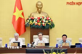 Chủ tịch Quốc hội Trần Thanh Mẫn phát biểu. (Ảnh: Doãn Tấn/TTXVN)