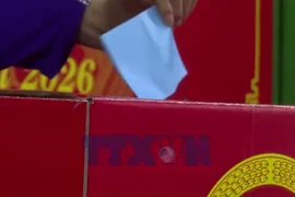 Hàng triệu cử tri ở thành phố Cần Thơ thực hiện quyền công dân 