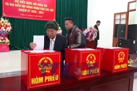 Đến 14h15 ngày 15/3, cả nước có hơn 80% tổng số cử tri đi bầu cử 