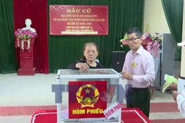 Hưng Yên: Gác việc đồng áng, nhà nông nô nức đi bỏ phiếu sớm