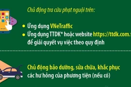 Hà Nội: Chủ xe cần chủ động làm gì trước khi đi đăng kiểm? 