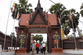 Khách tham quan chùa chùa Botumsakor (chùa Chợ, thị trấn Cầu Kè), nơi trồng cây dừa sáp đầu tiên ở Việt Nam. (Ảnh: Thanh Hòa/TTXVN)