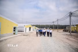 Tây Ninh trở thành điểm đến hấp dẫn của dòng vốn đầu tư vào lĩnh vực chăn nuôi công nghệ cao nhờ lợi thế quỹ đất rộng, hạ tầng từng bước hoàn thiện và môi trường đầu tư ngày càng thông thoáng. (Ảnh: Giang Phương/TTXVN)