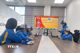 Chi bộ Công ty Trách nhiệm hữu hạn điện tử Sumida Việt Nam, Đảng ủy Khu Công nghiệp Nhật Bản-Hải Phòng tổ chức sinh hoạt định kỳ. (Ảnh minh họa: Tiến Vĩnh/TTXVN)