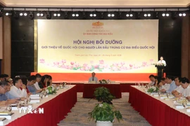 Quang cảnh hội nghị bồi dưỡng, giới thiệu về Quốc hội cho người lần đầu trúng cử đại biểu Quốc hội. (Ảnh: Ngọc Thiện/TTXVN)