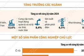 Chỉ số sản xuất toàn ngành công nghiệp trong 11 tháng năm 2025 tăng 9,3%
