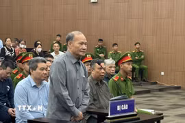 Cựu Thứ trưởng Bộ Nông nghiệp và Phát triển Nông thôn Hoàng Văn Thắng tại phiên tòa. (Ảnh: Kim Anh/TTXVN)