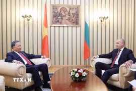 Tổng Bí thư Tô Lâm và Tổng thống Cộng hòa Bulgaria Rumen Radev hội đàm hẹp. (Ảnh: Thống Nhất/TTXVN)