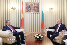 Tổng Bí thư Tô Lâm và Tổng thống Cộng hòa Bulgaria Rumen Radev hội đàm hẹp. (Ảnh: Thống Nhất/TTXVN)
