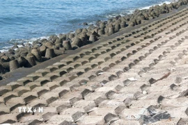 Kè bêtông mái nghiêng kết hợp kè mỏ hàn bảo vệ bờ biển chống xâm thực tại phường Tiến Thành (Lâm Đồng). (Ảnh: Nguyễn Thanh/TTXVN)