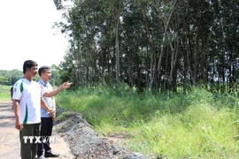 Anh Lâm Hảo, ngụ tại ấp 3 (xã Nha Bích) bàn giao đất 0,7ha để triển khai dự án cao tốc Gia Nghĩa-Chơn Thành. (Ảnh: K GỬIH/TTXVN)