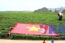 Hàng ngàn lượt du khách đến Cao nguyên Mộc Châu trong dịp nghỉ lễ 30/4