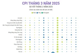 Chỉ số giá tiêu dùng tháng 3 năm 2025 giảm 0,03%