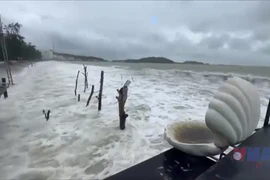 Bão Ragasa đã giảm cường độ xuống còn cấp 15 