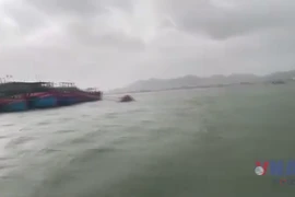 Thường trực Ban Bí thư chỉ đạo ứng phó với bão số 9