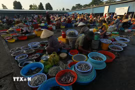 Người dân quen gọi chợ quê phường Vị Thanh là “chợ chồm hổm” do người bán ngồi thấp, bày hàng đơn sơ trên những tấm bạt, rổ, hay chiếc mẹt nhỏ. (Ảnh: Duy Khương/TTXVN)